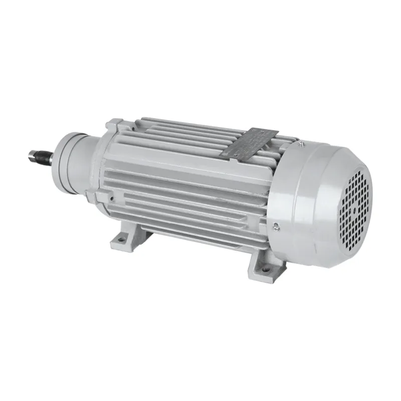 IE3 Efficiency Three Phase Asynchronous Electric Motor