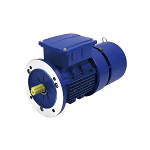 Three Phase Motor 230/460V with High Starting Torque