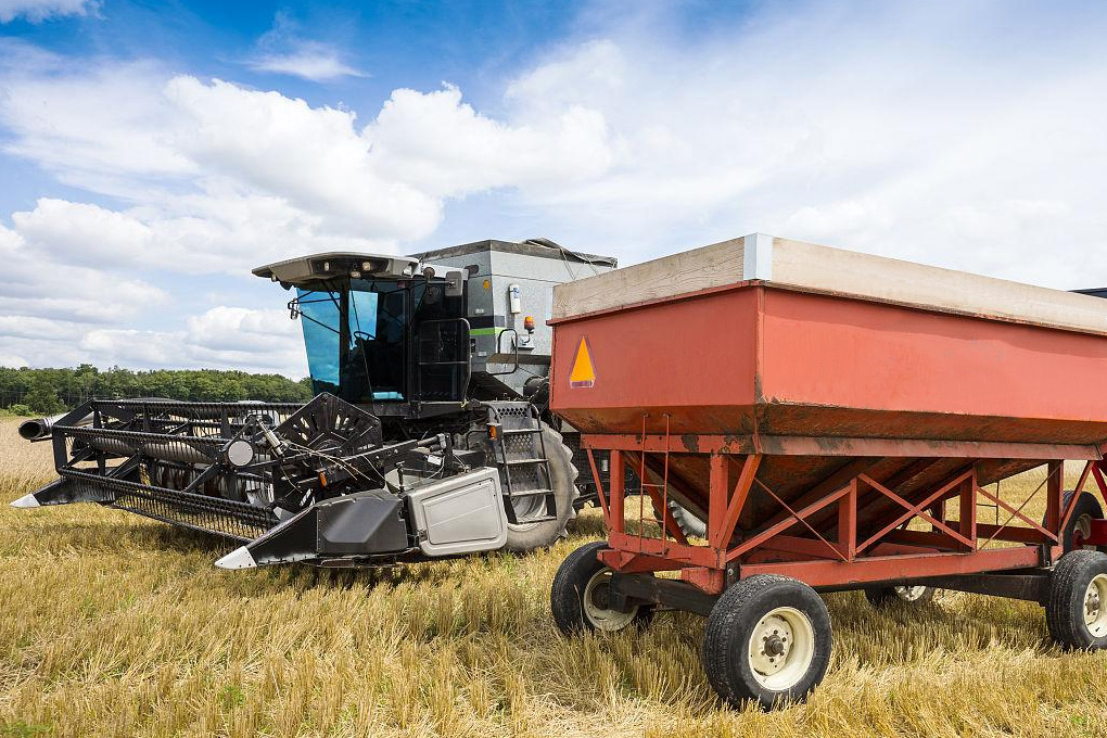 Agriculture and Horticulture