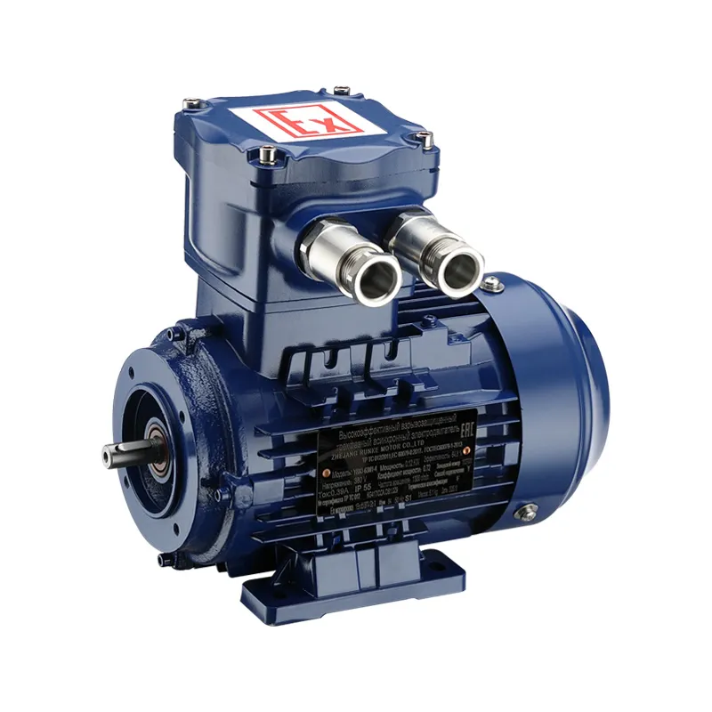 ATEX and IECEx Certified Motor for Global Markets