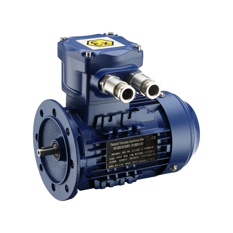 ATEX Motor with Brake and Terminal Box