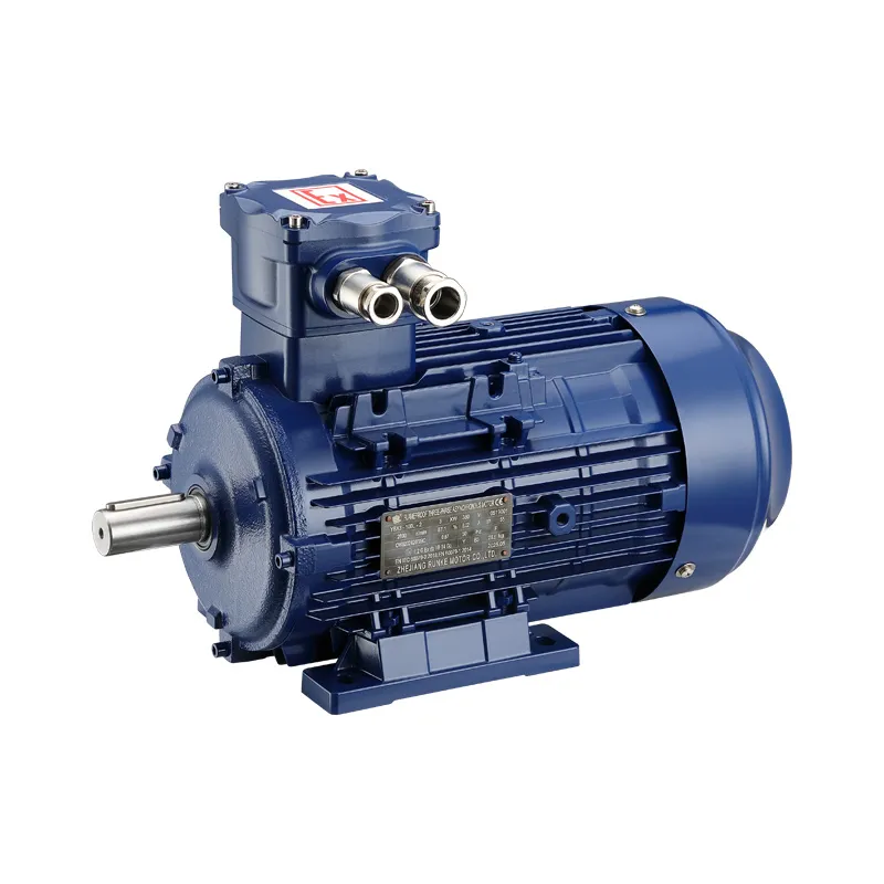 ATEX Compliant Three Phase Induction Motor