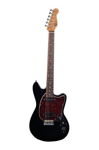 Why Is Longsheng Musical Instrument Perfect for Touring? - Longsheng ...