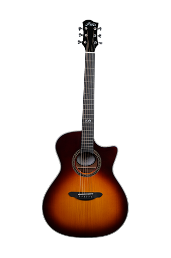  Acoustic Guitar Series: What Are the Best Models for Studio Work?