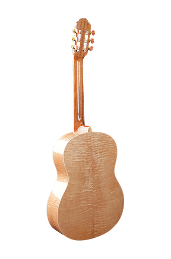  Acoustic Guitar Series: Which Models Have the Best Playability?