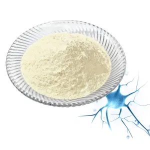 Liposomal Vitamin B3
