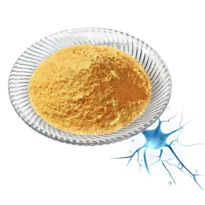 Liposomal vitamin B9