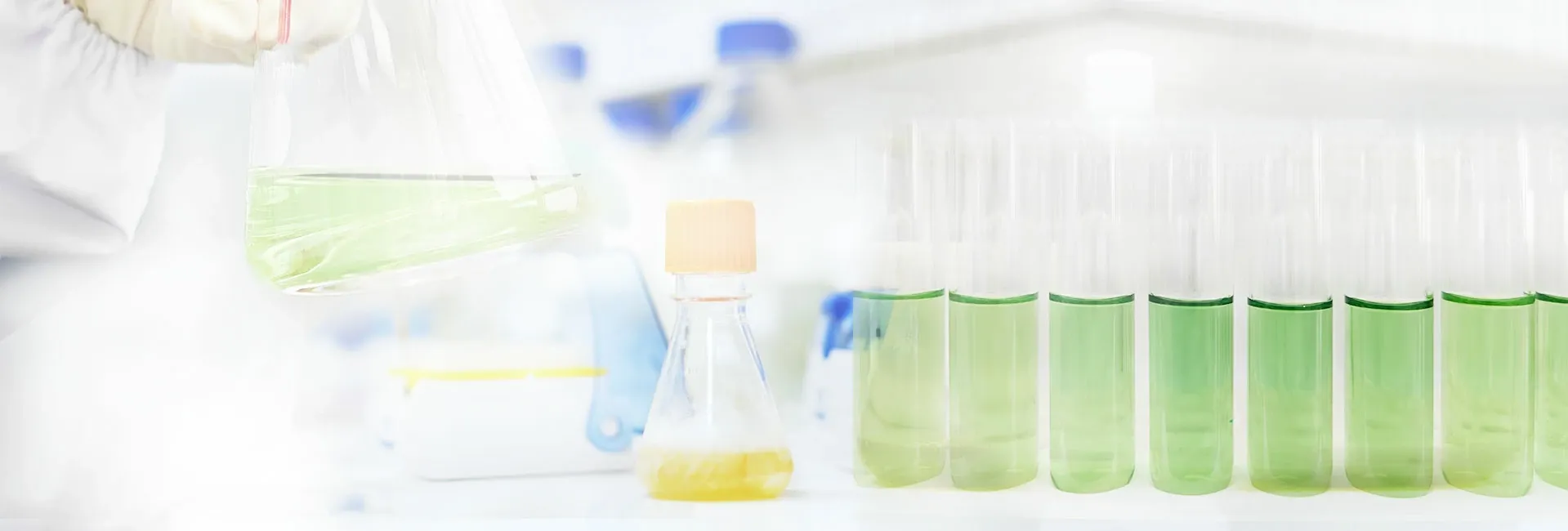 Explore High-Purity Small-Molecule Inhibitors