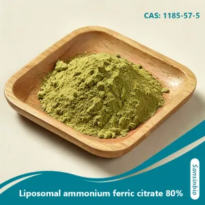 Liposomales Ammoniumeisen(III)-citrat 80 % &ndash; Hoch bioverf&uuml;gbares, schonendes Eisenpr&auml;parat zur Behandlung von An&auml;mie und zur Lebensmittelanreicherung