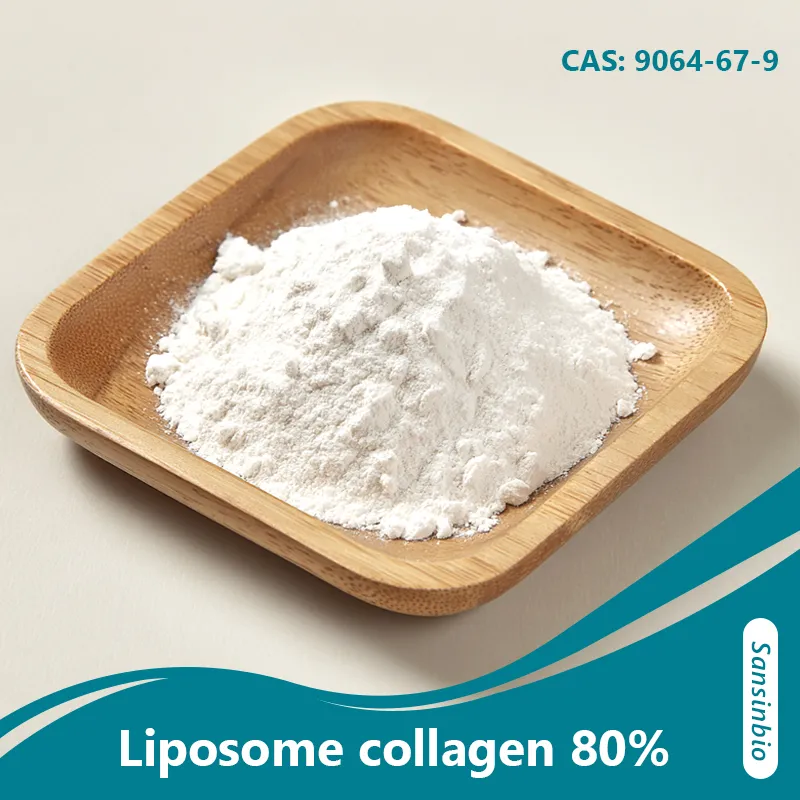 Liposomal Collagen 80% High Bioavailability Hydrolyzed Collagen Peptide Supplement