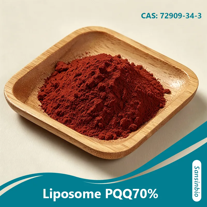 Compl&eacute;ment alimentaire liposomal PQQ 70 % &agrave; haute biodisponibilit&eacute; pour l'&eacute;nergie mitochondriale et le soutien cognitif