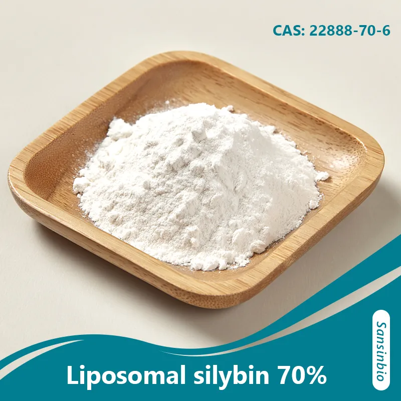 Silybine liposomale 70 %&nbsp;: suppl&eacute;ment &agrave; haute biodisponibilit&eacute; pour le soutien du foie et la protection h&eacute;patique.