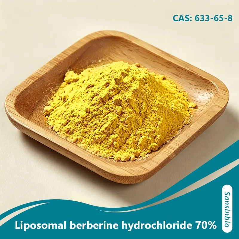 Chlorhydrate de berb&eacute;rine liposomale &agrave; 70 % - Compl&eacute;ment alimentaire pour le soutien m&eacute;tabolique &agrave; haute biodisponibilit&eacute;