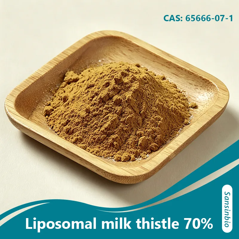 Silymarine liposomale 70 %&nbsp;: compl&eacute;ment alimentaire &agrave; haute biodisponibilit&eacute; pour le soutien du foie et la protection h&eacute;patique.