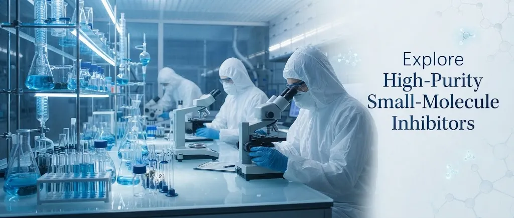 Explorez les inhibiteurs de petites mol&eacute;cules de haute puret&eacute;