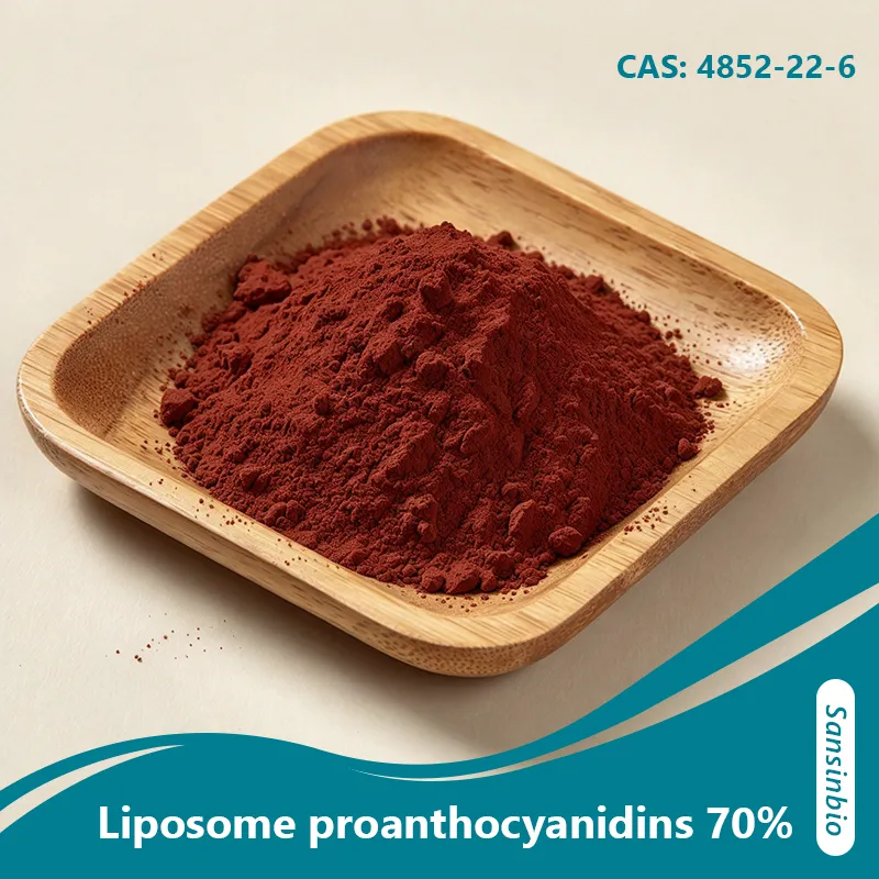 Proanthocyanidines liposomales &agrave; 70 % de haute biodisponibilit&eacute;, compl&eacute;ment antioxydant &agrave; base de proanthocyanidines oligom&eacute;riques