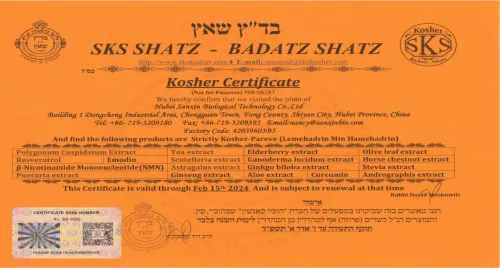 Kascher