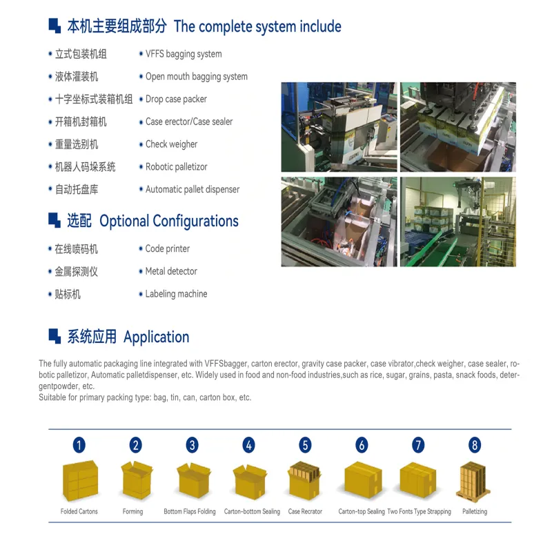 Custom‑Built Top Loading Case Packer for End‑of‑Line Automated Case Packing Work