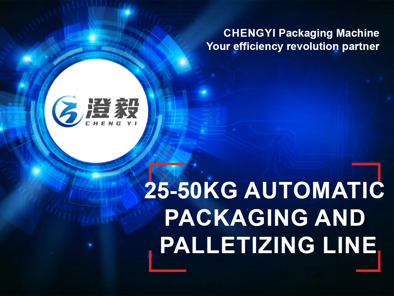 25-50kg Automatic Packaging and Palletizing Line