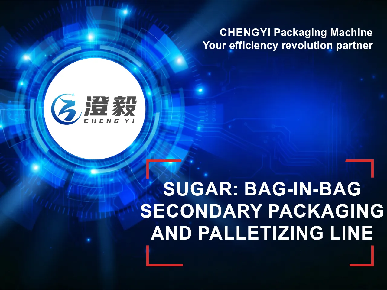 Sugar: Bag-in-bag secondary packaging and palletizing line