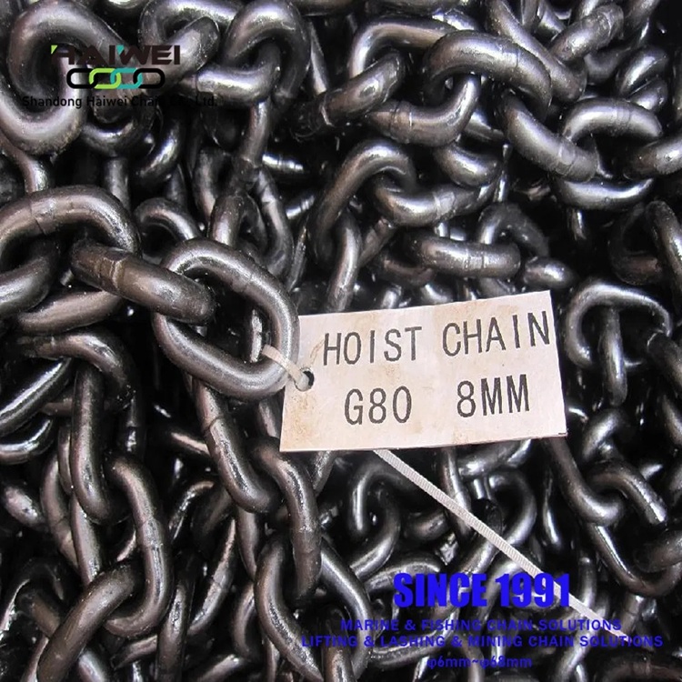 Black Painting Lifting Chain