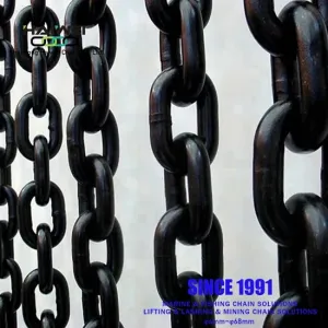 Hatch Cover Drag Chain with CE/ABS/B V Certificate 