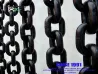 Hatch Cover Drag Chain with CE/ABS/B V Certificate 