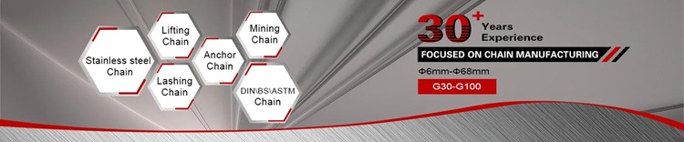  Mining Chain for Coal Transfer Link Chain