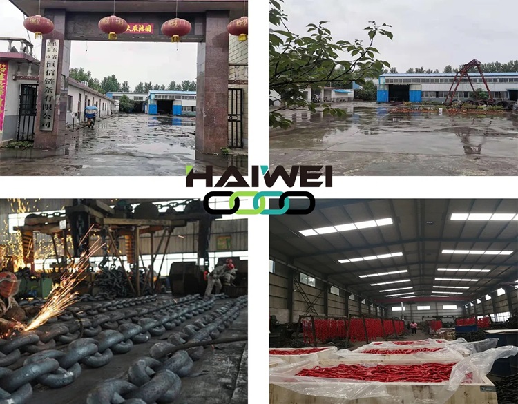 Hot DIP Galvanized Lashing Chain
