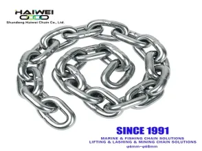 BS Standard Short Link Chain