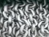  Alloy Steel Link Chain 