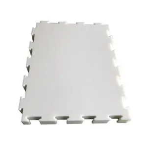 Artificial Polyethylene Curling Track