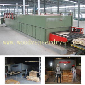 60m Biomass Roller  Wood Single Board Dryer Line for Sale 