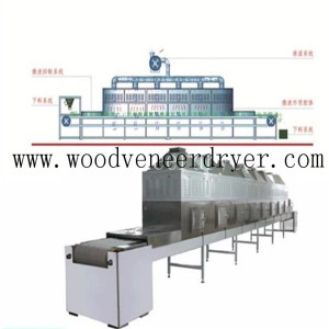 Microwave Drying and Sterilization Equipment for Lobster Shell  
