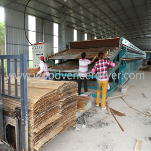 Drying Equipment for Wood Veneer 