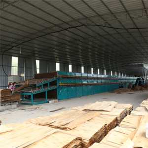 Wood Processing Machine for Roller Veneer Drying Technology