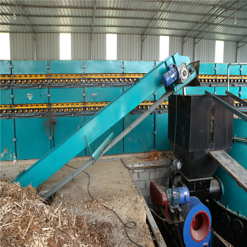 Biomass Plywood Drying Equipment 