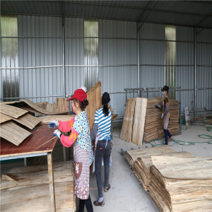 Biomass Plywood Veneer Dryer Machine
