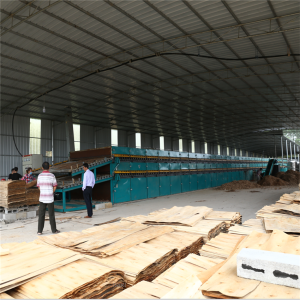 Wood Roller Veneer Drying Machine in Plywood Production Line