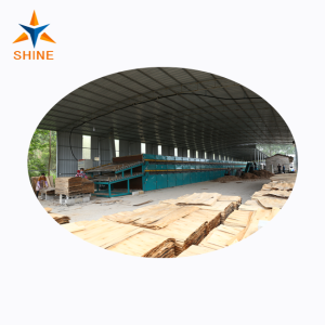 Veneer Drying for Plywood Production Line