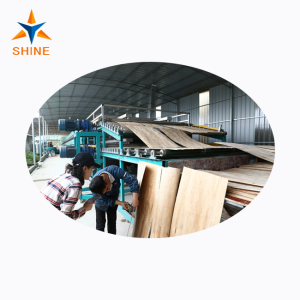 Shine Wood Veneer Dryers Equipment Introduction