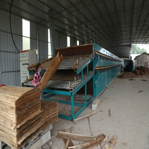 Veneer Dryer and Plywood Production Line 