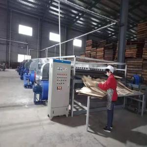 28M 1Deck Veneer Drying Machine Introduction