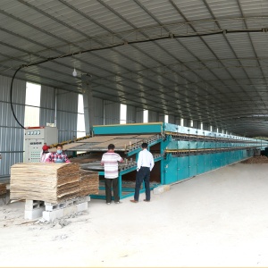 2 Deck 52m Roller Veneer Drying Machine 