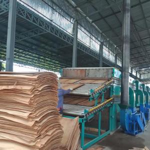 High quality core veneer drying machine for plywood making