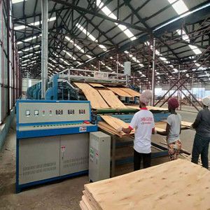 Veneer Dryer in the Plywood Production Line