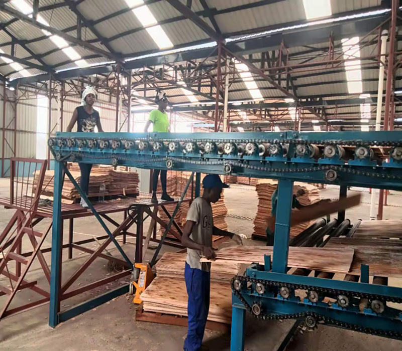 Roller Veneer dryer