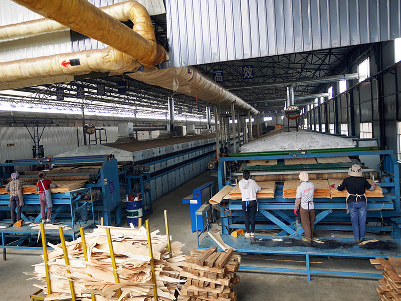 Veneer Dryer Machine.jpg