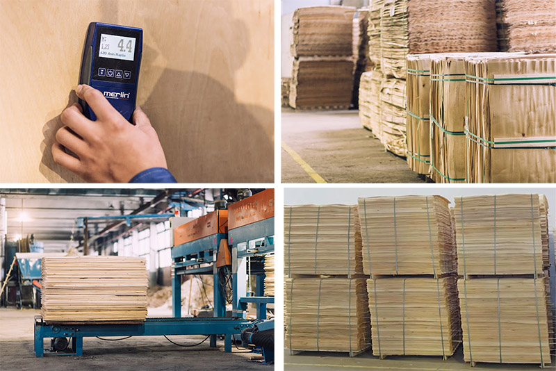 plywood production line.jpg