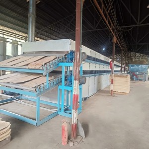 Automatic Veneer Dryer for Wood Industry